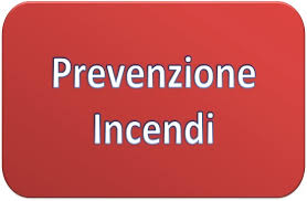 Al momento stai visualizzando Corpo Nazionale dei Vigili del Fuoco, modifica e integrazione modelli PIN